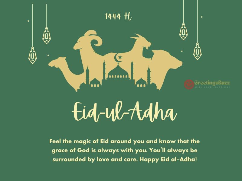 Eid Ul Adha Feel The Magic Of Eid Around You And Know That The Grace Of God Is Always With You. You’ll Always Be Surrounded By Love And Care. Happy Eid Al Adha!