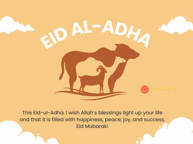 This Eid Ul Adha, I Wish Allah’s Blessings Light Up Your Life And That It Is Filled With Happiness, Peace, Joy, And Success. Eid Mubarak!